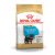 Royal Canin Yorkshire Puppy kutyatáp 500 g