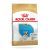 ROYAL CANIN DOG PUPPY 3KG FRANCIA BULLDO