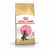 Royal Canin Cat Maine Coon Kitten 2kg