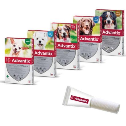 ADVANTIX Spot-On rácsepegtető oldat 4-10kg kutyáknak (1,0ml) 1DB