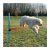 TRIXIE DOG ACTIVITY JÁTÉK AGILITY A 123X115CM