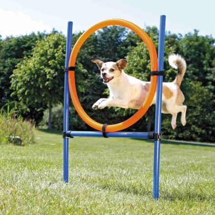 TRIXIE DOG ACTIVITY JÁTÉK AGILITY A GYŰRŰ 