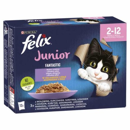 Felix Fantastic Junior Vegyes Válogatás aszpikban nedves macskaeledel 12 x 85g (1,02kg)