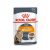 Royal Canin Intense Beauty Care macskaeledel / 12*85 g