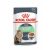 Royal Canin Digestive Care macskaeledel / 85 g