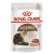 Royal Canin Ageing Gravy +12 85g